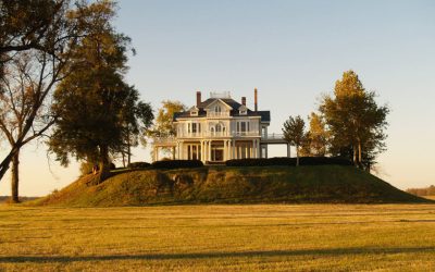 Le Moi, le Ça et le Surmoi. Visite guidée de votre psychisme.