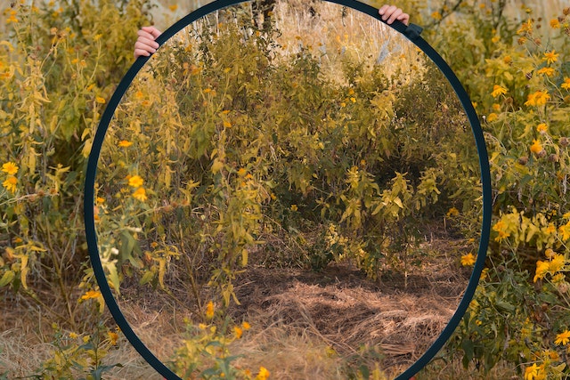 Le mécanisme de défense du refoulement est représentée par cette image de miroir qui enfoui et cache une situation.
